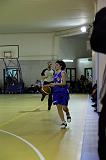 Basket C321040